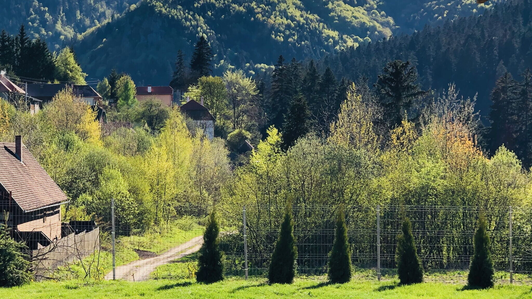 cazare baile tusnad travelminit vila stanca soimilor