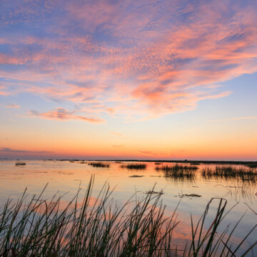 danube delta romania