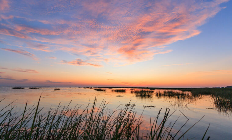 danube delta romania
