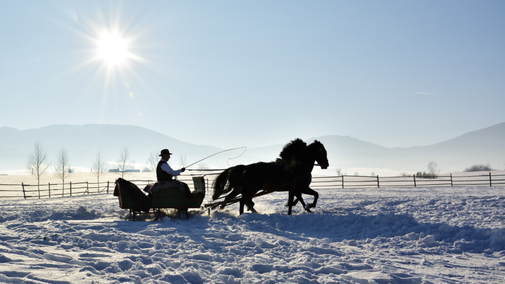Activități la munte pentru cei care nu schiază trasura cu cai iarna la munte