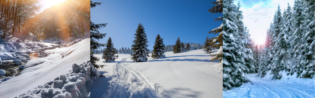 Plimbări lejere la zăpadă: 5 locuri superbe din România Păltiniș: Poteca spre Poiana Muncel