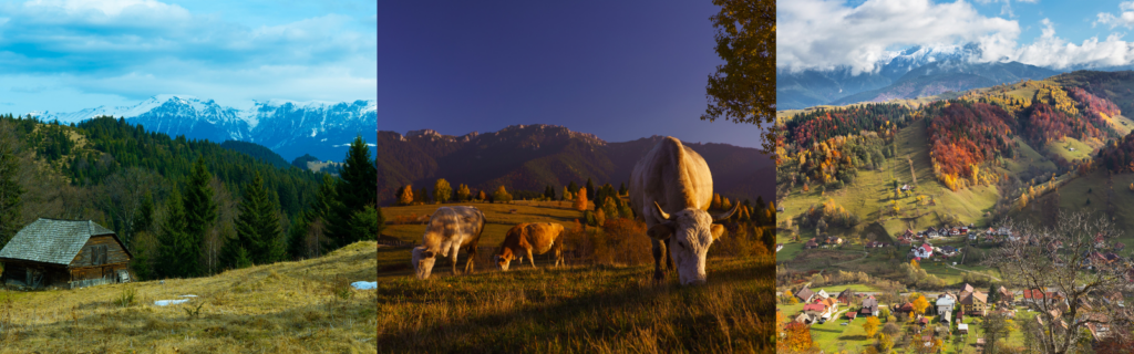 Rezoluții de călător: 5 destinații din România de vizitat în 2026 Fundata: La înălțime, deasupra norilor