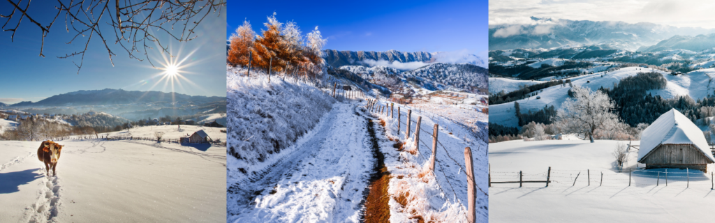 Plimbări lejere la zăpadă: 5 locuri superbe din România satele Peștera și Măgura
