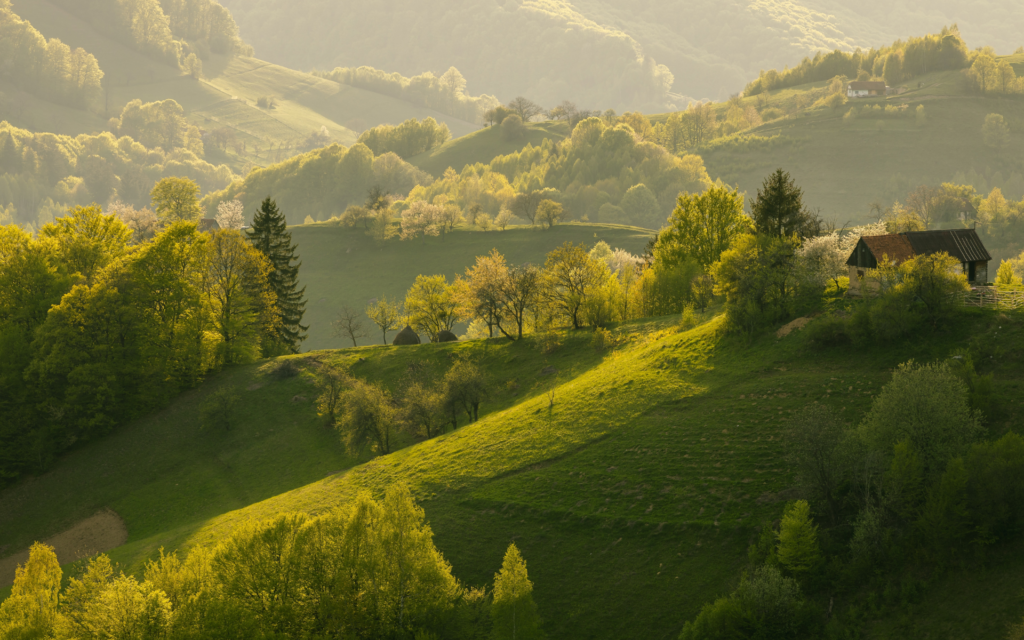 Cele mai bune reduceri Early Booking 2026