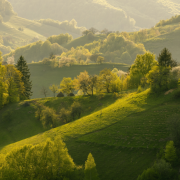 Cele mai bune reduceri Early Booking 2026