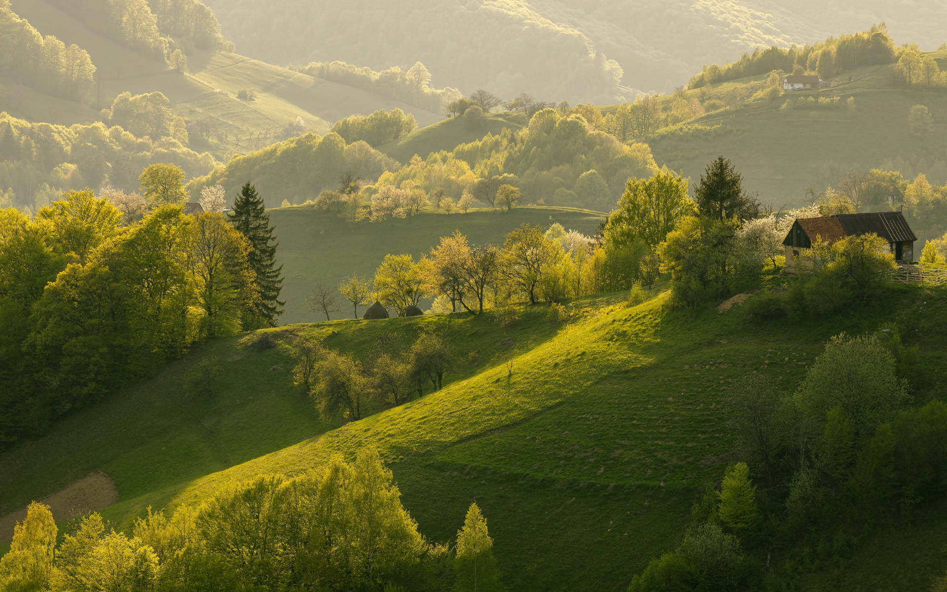 Cele mai bune reduceri Early Booking 2026