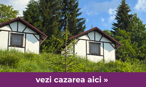 Pensiunea și Căsuțe individuale Farmecul Naturii