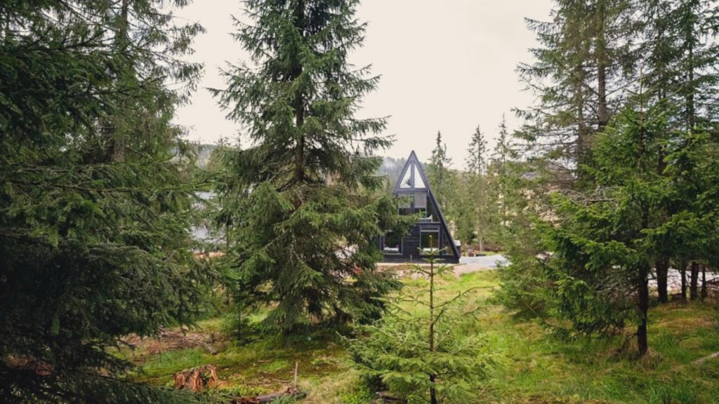 Black Chalet Apuseni Vârtop: evadare premium în inima munților