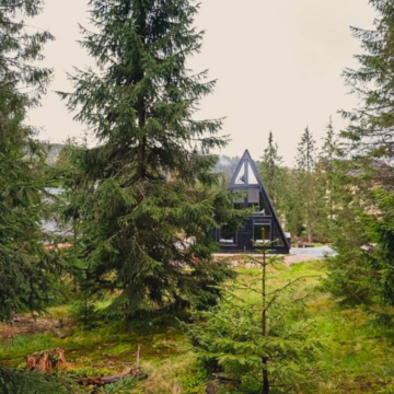Black Chalet Apuseni Vârtop: evadare premium în inima munților
