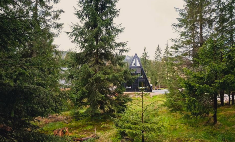 Black Chalet Apuseni Vârtop: evadare premium în inima munților