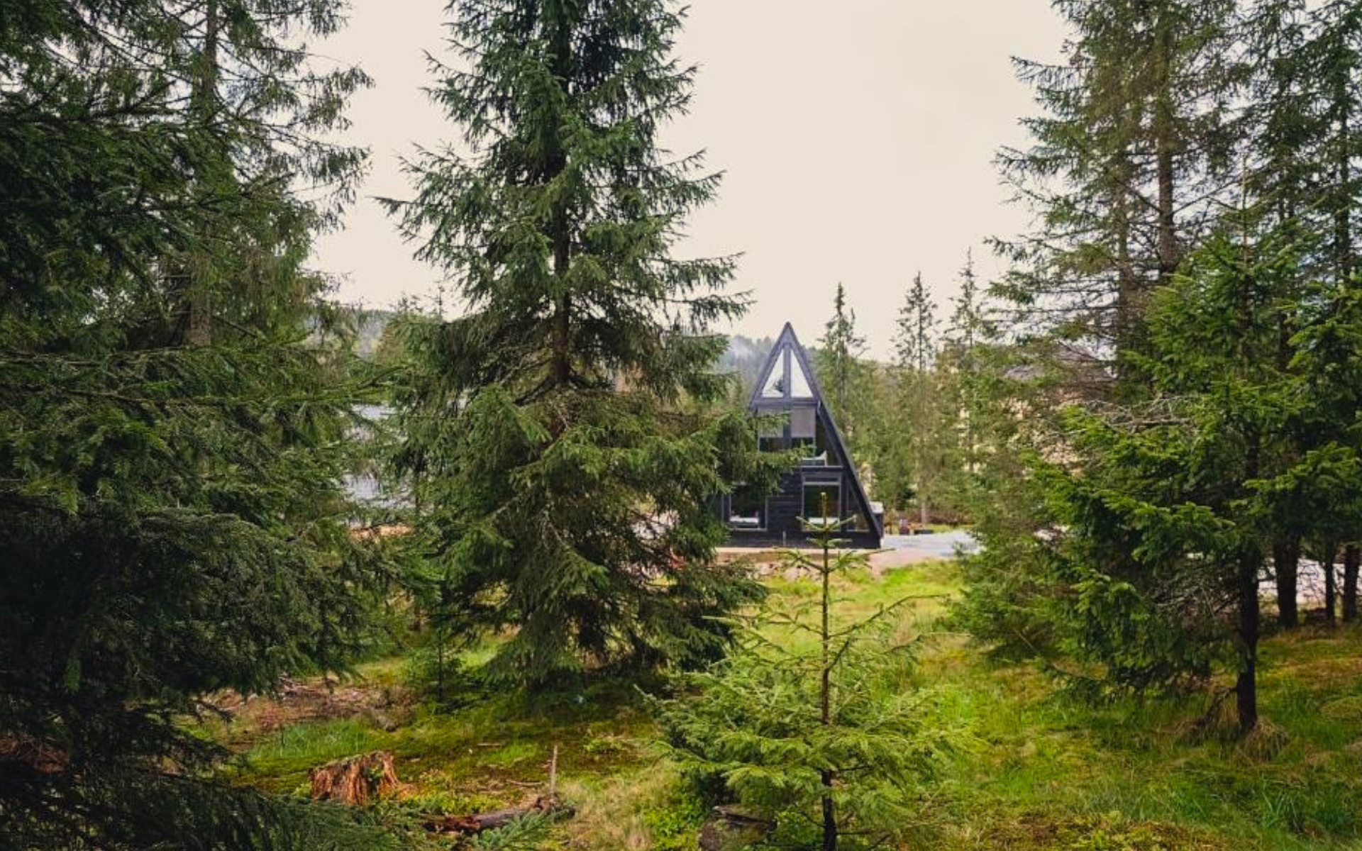 Black Chalet Apuseni Vârtop: evadare premium în inima munților